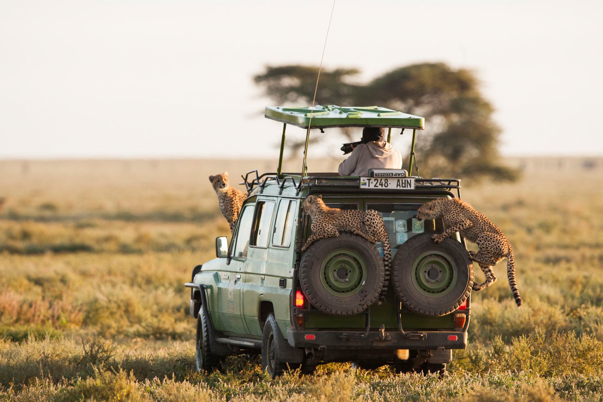 Tanzania 10-min