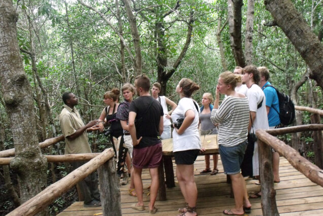 Jozani Forest Tour