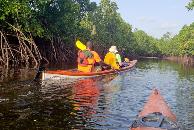Kayak-Adventure